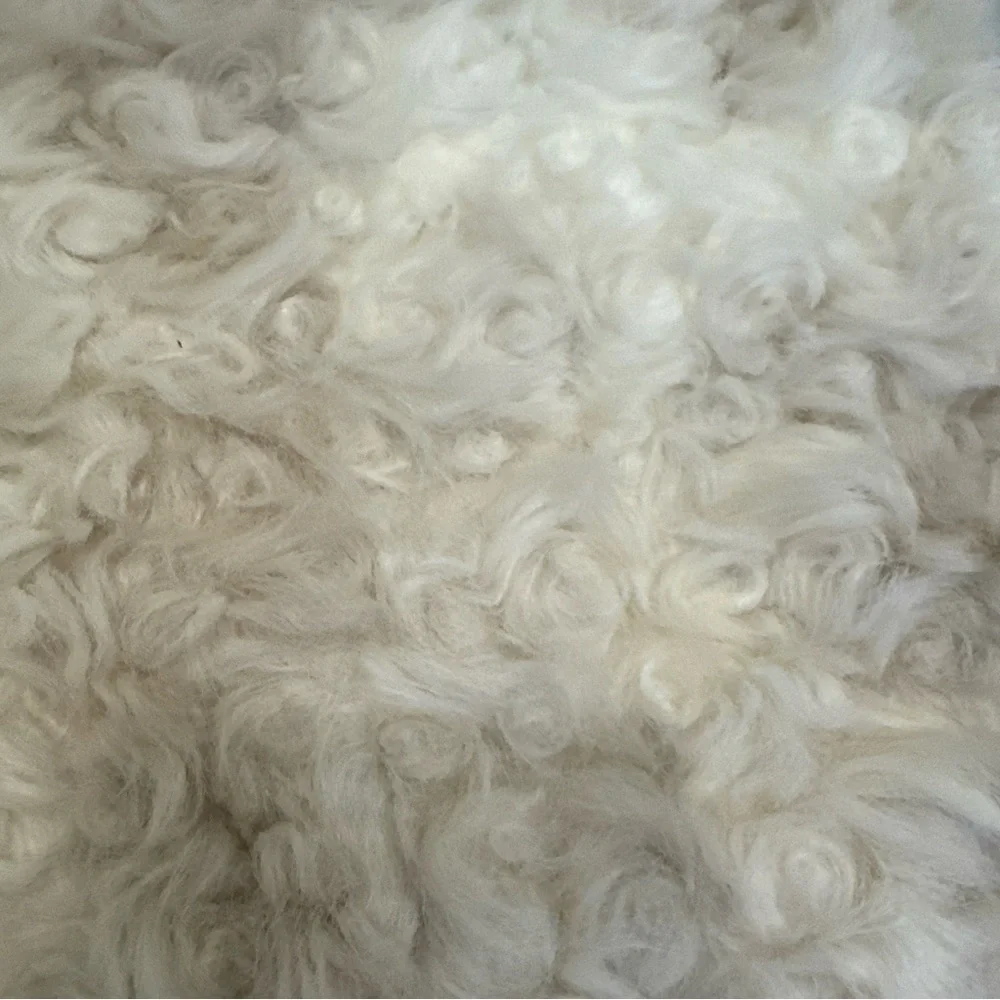 West Elm St. Jude Shearling Faux Fur Pillow Cover - 20”x20”